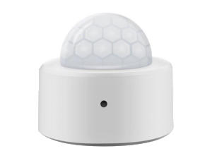 Motion Sensor
